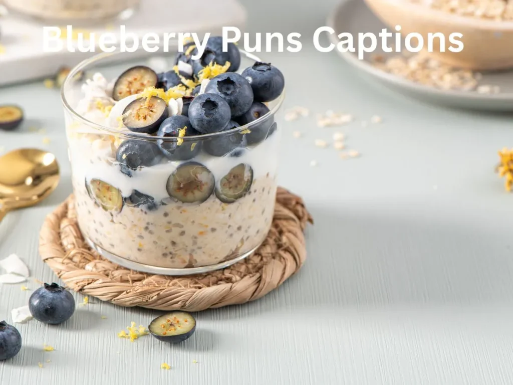 Blueberry Puns Captions 