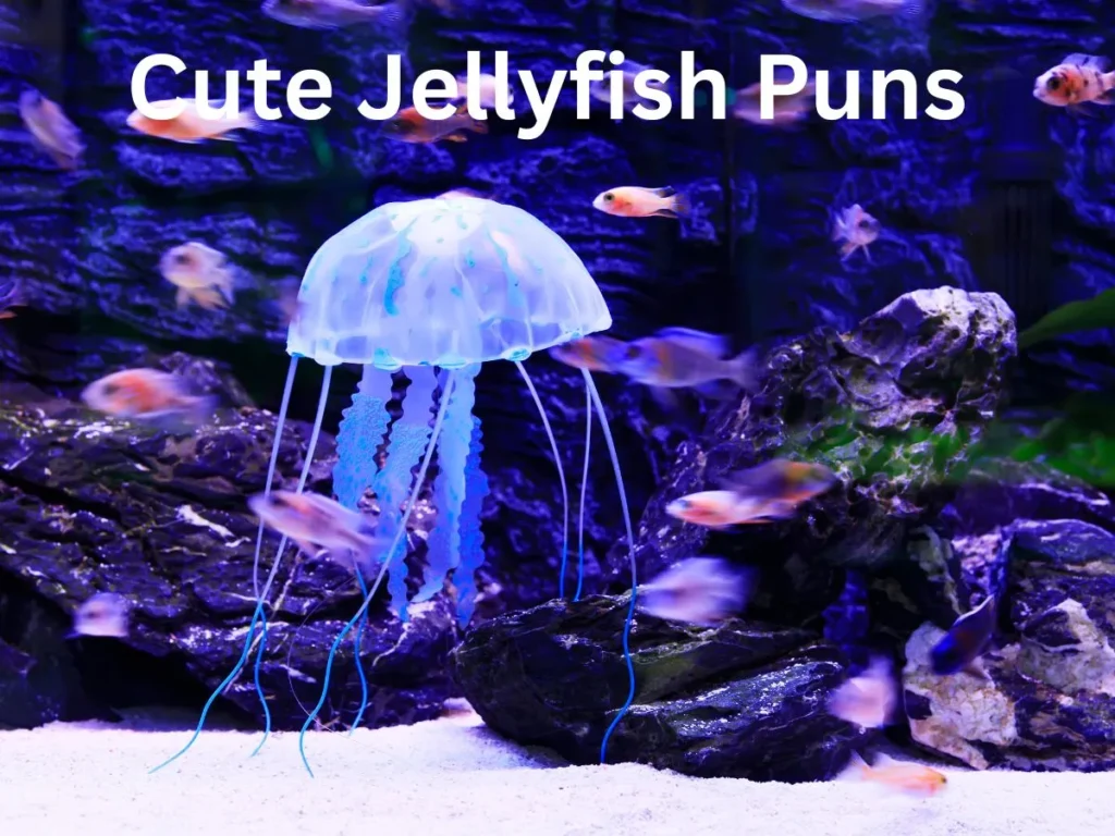 Cute Jellyfish Puns