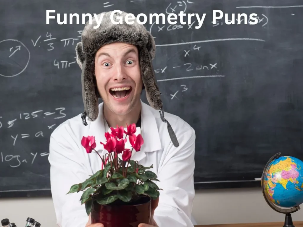 Funny Geometry Puns