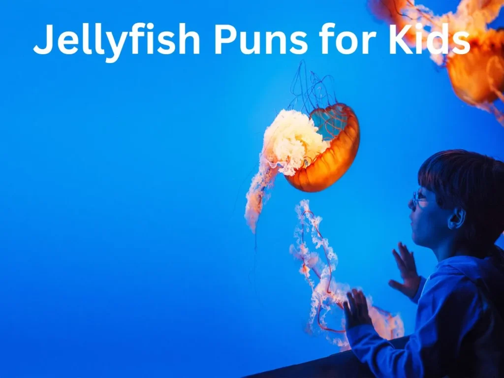 Jellyfish Puns for Kids