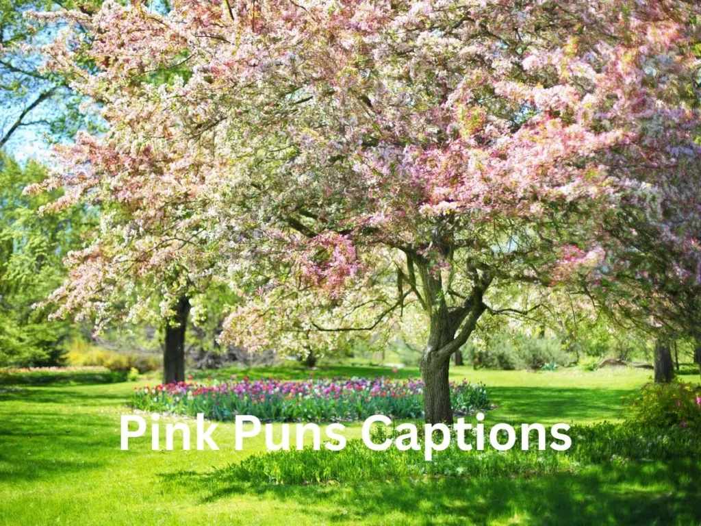Pink Puns Captions