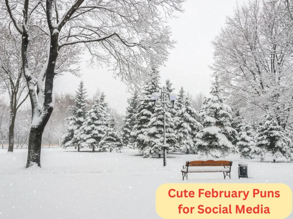 Cute February Puns for Social Media