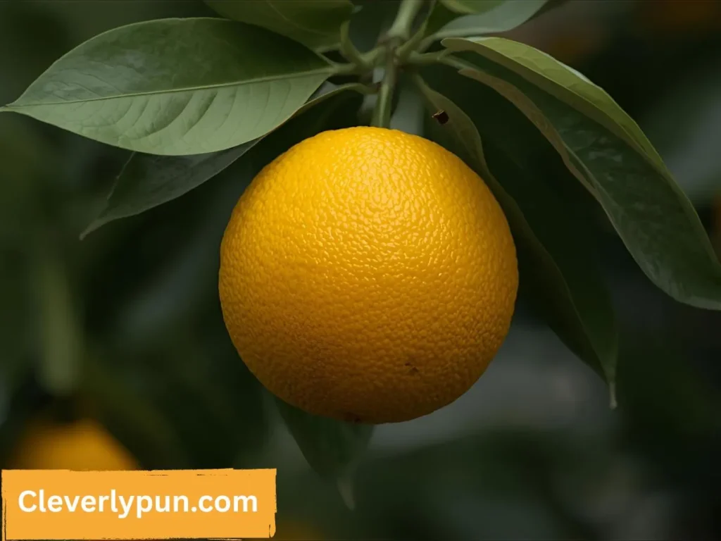 Short Citrus Puns