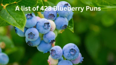 Blueberry Puns