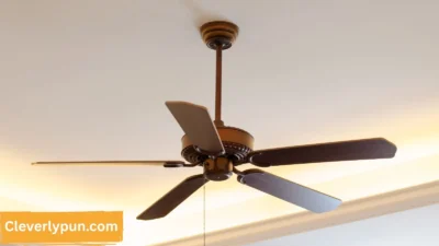 Fan Puns