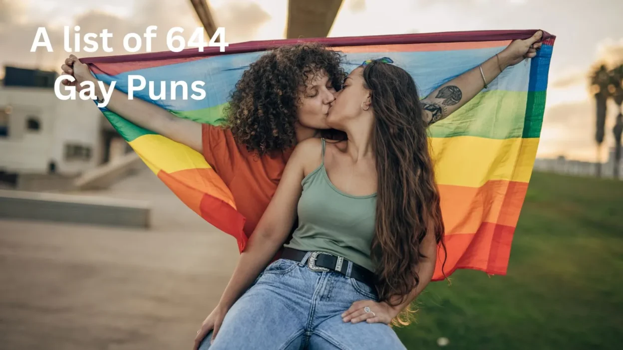 Gay Puns
