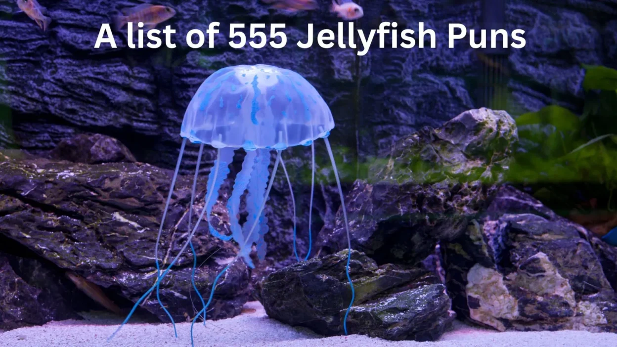 jellyfish-puns