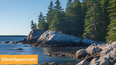 Maine Puns
